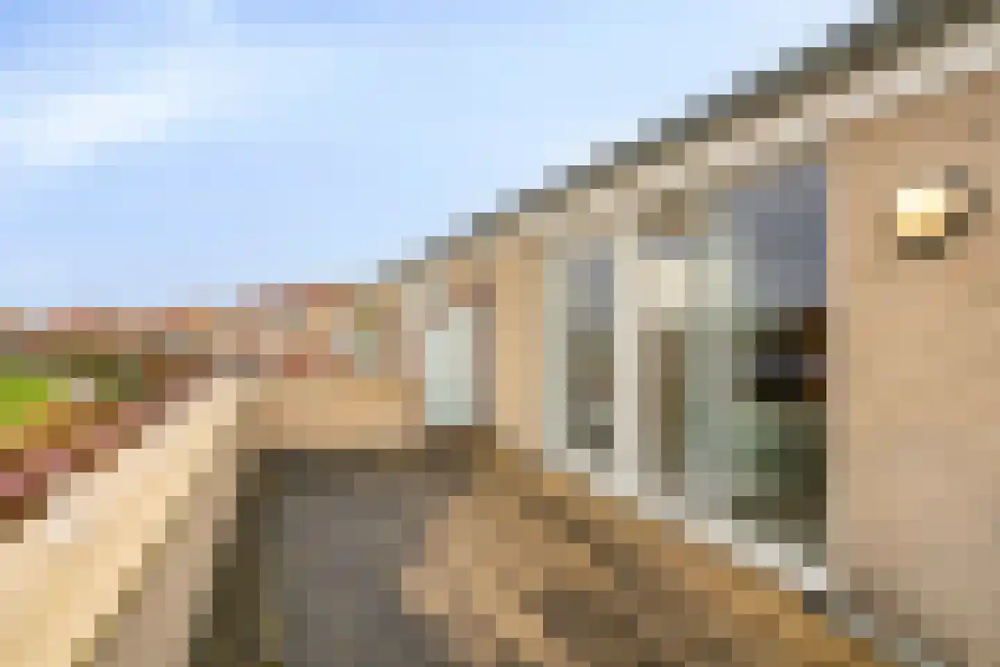 Schutteheide 1 41 Heel thumbnail 21