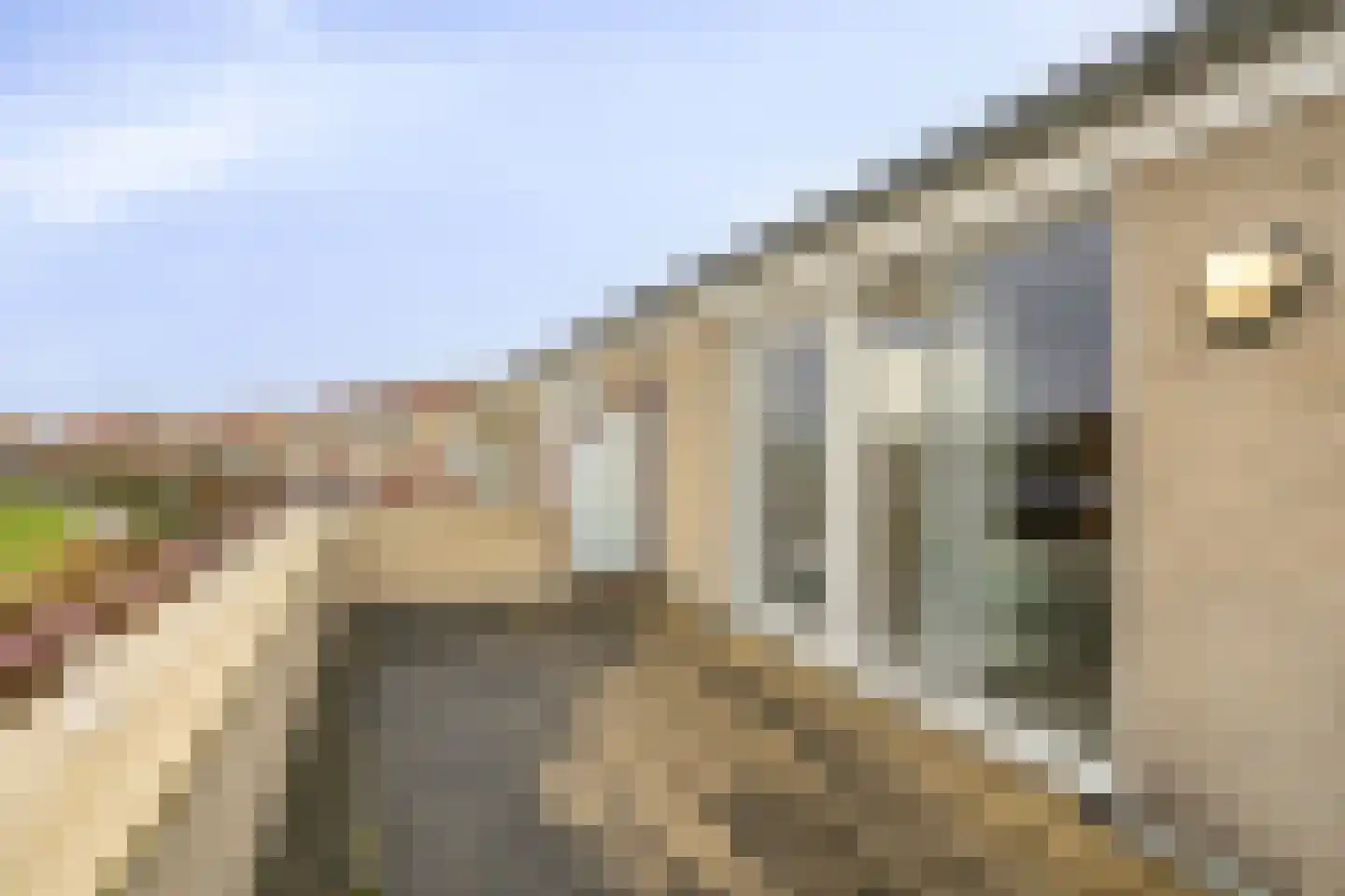 Schutteheide 1 41 Heel thumbnail 23