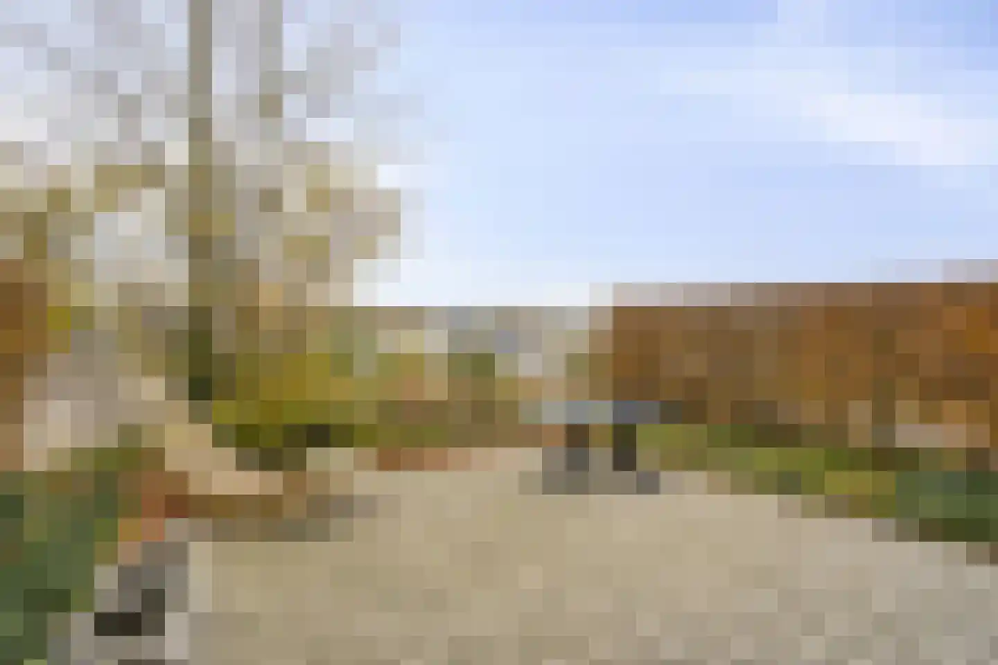 Schutteheide 1 41 Heel thumbnail 29