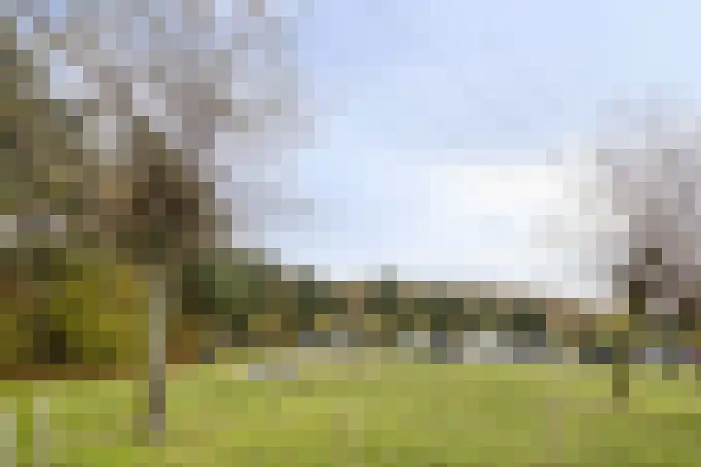 Schutteheide 1 41 Heel thumbnail 35