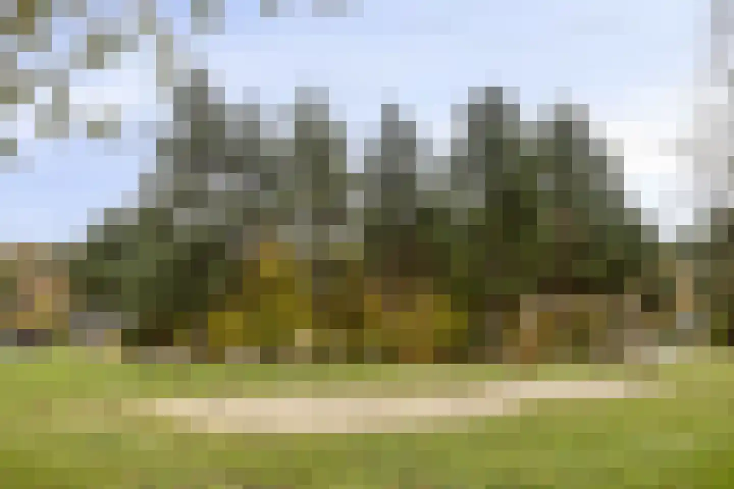 Schutteheide 1 41 Heel thumbnail 36