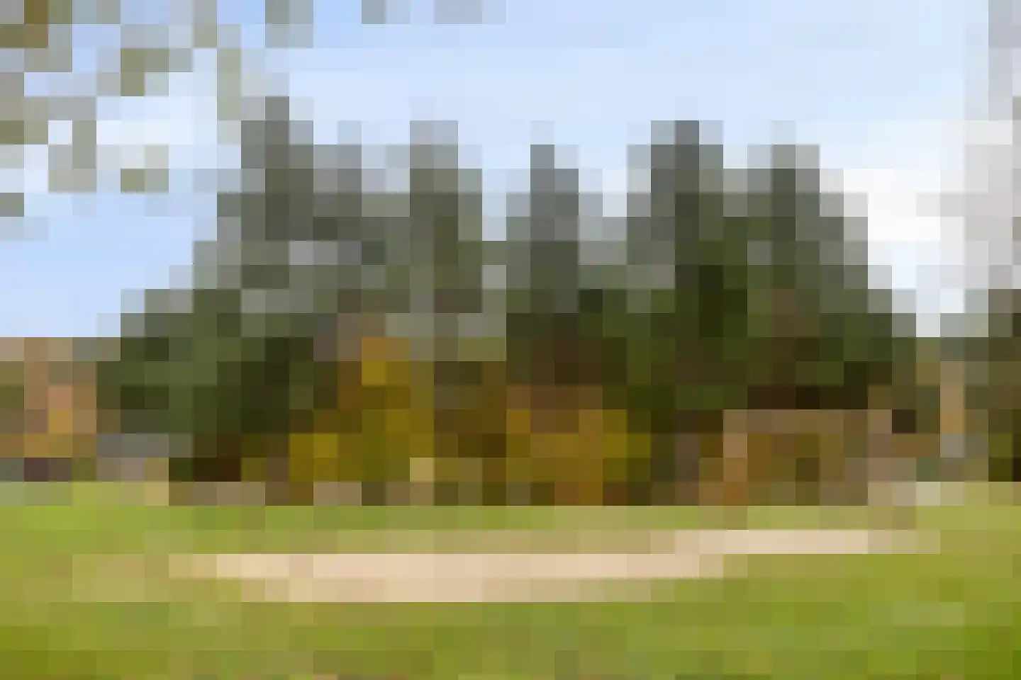 Schutteheide 1 41 Heel thumbnail 41