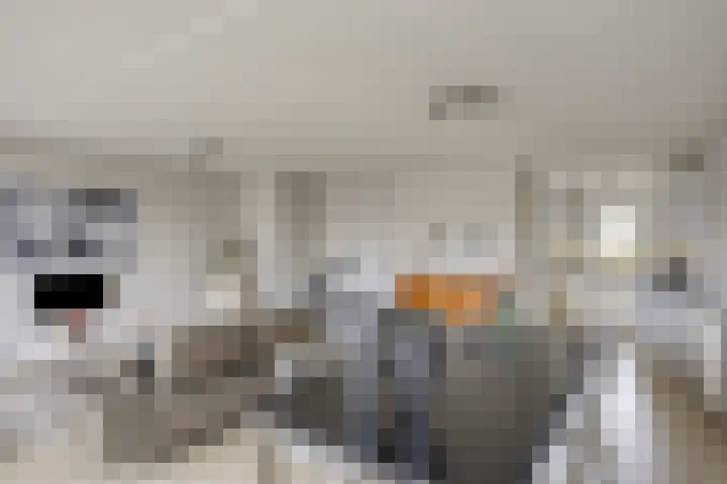 Schutteheide 1 41 Heel thumbnail 8