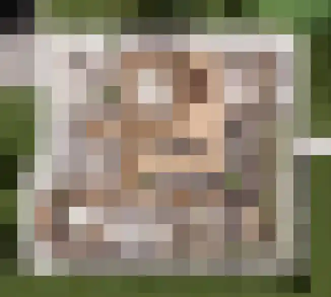 Schutteheide 1 412 Heel thumbnail 11