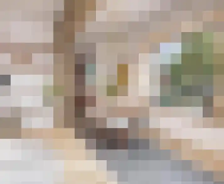 Schutteheide 1 413 Heel thumbnail 5