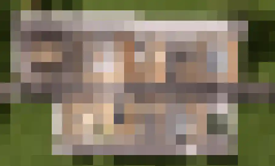 Schutteheide 1 413 Heel thumbnail 7
