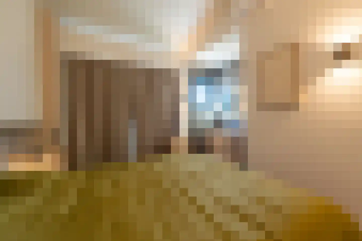 Schutteheide 1 461a Heel thumbnail 15