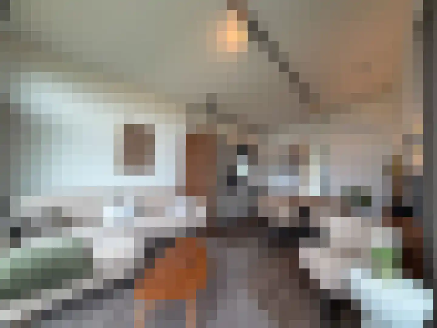 Schutteheide 1 461a Heel thumbnail 18