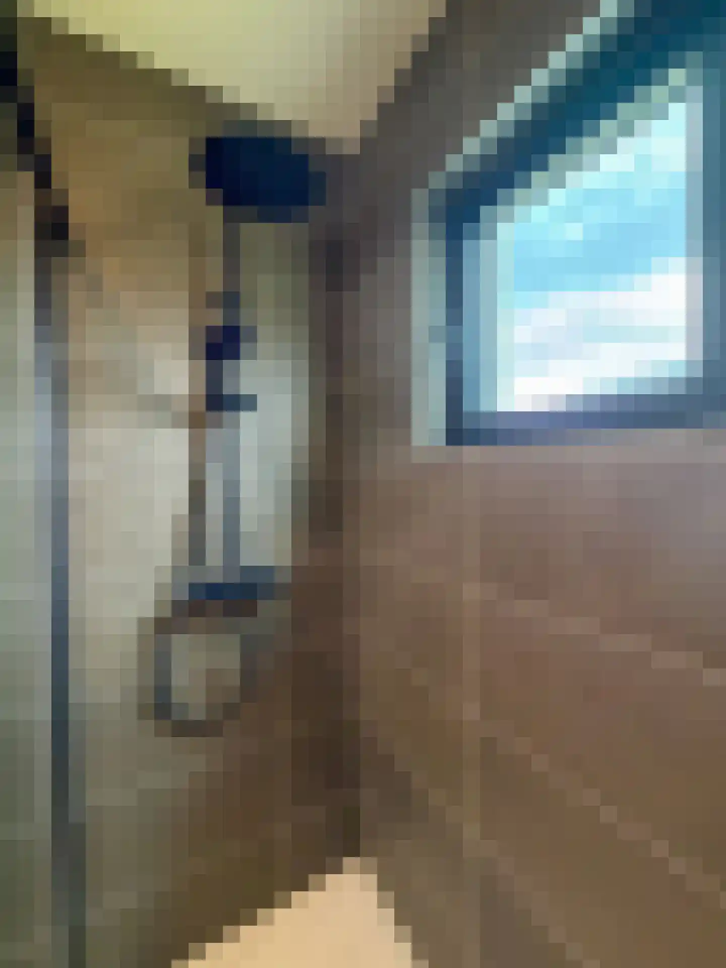 Schutteheide 1 461a Heel thumbnail 26