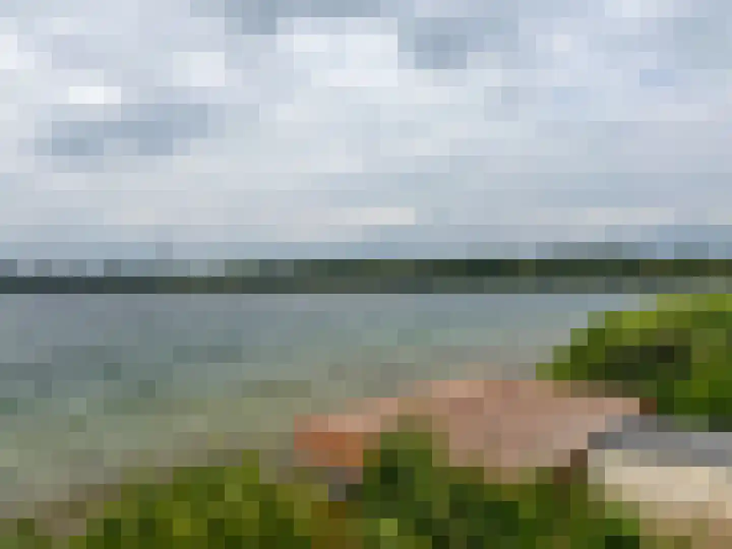 Schutteheide 1 461a Heel thumbnail 31