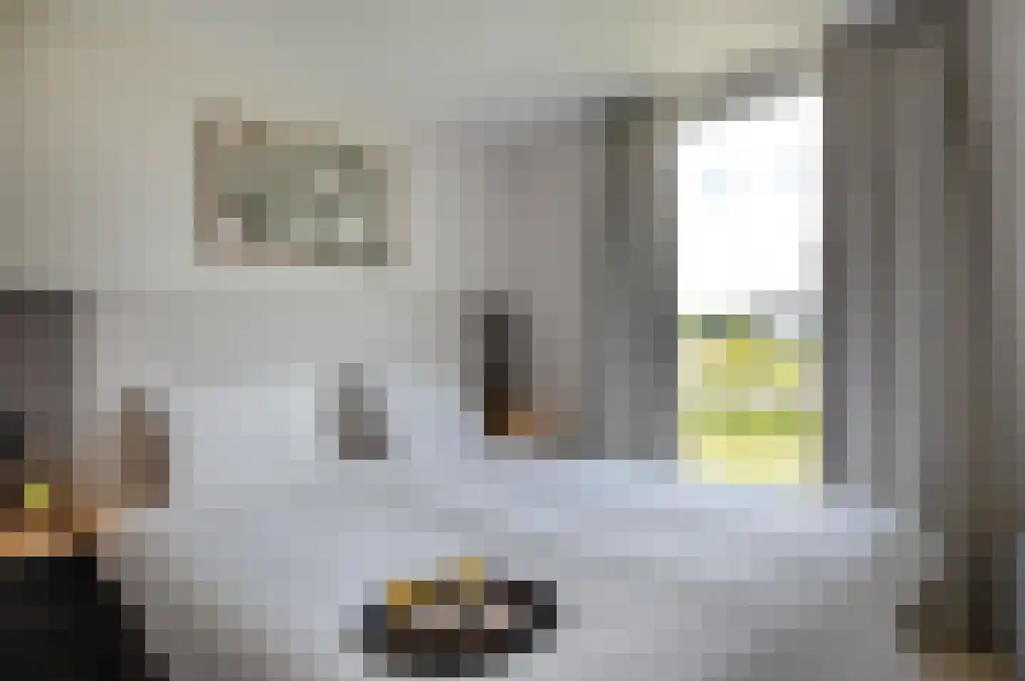 Schutteheide 1 467 Heel thumbnail 11