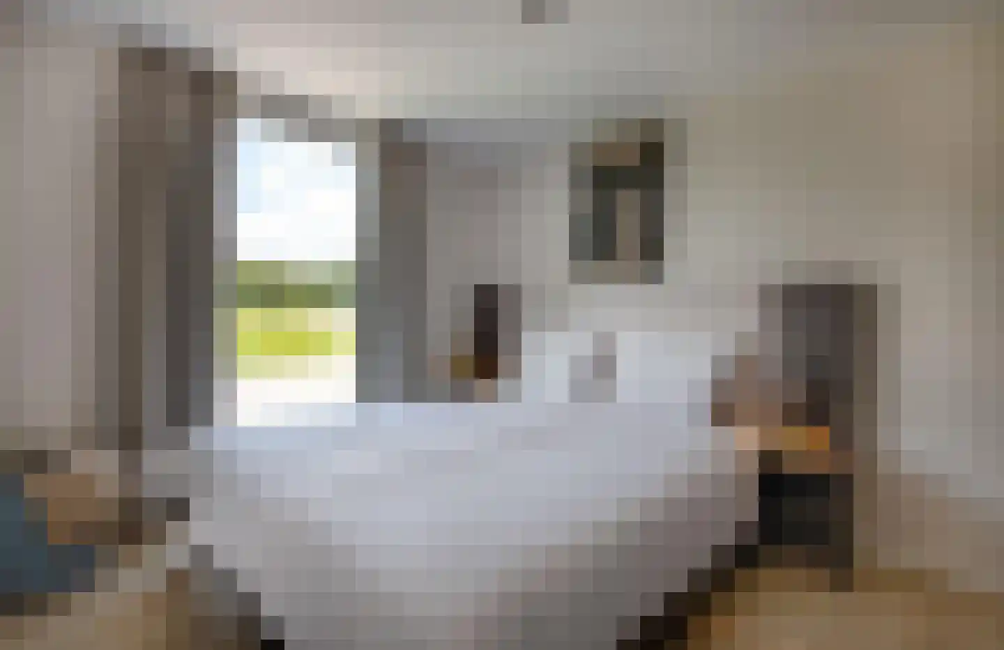 Schutteheide 1 467 Heel thumbnail 12