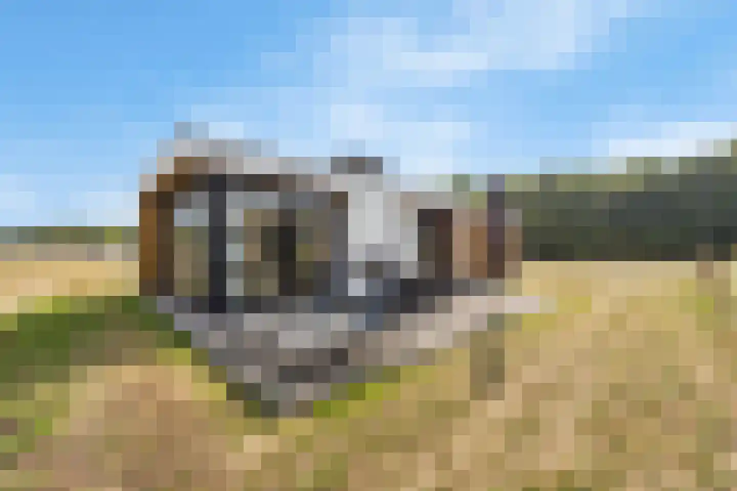 Schutteheide 1 490 en Heel