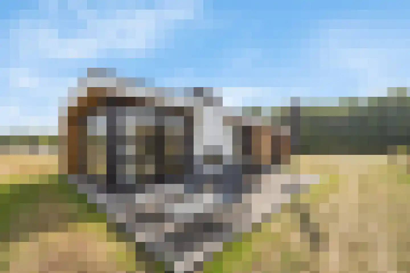 Schutteheide 1 490 Heel thumbnail 24