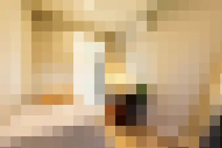 Schutteheide 1 501 Heel thumbnail 10