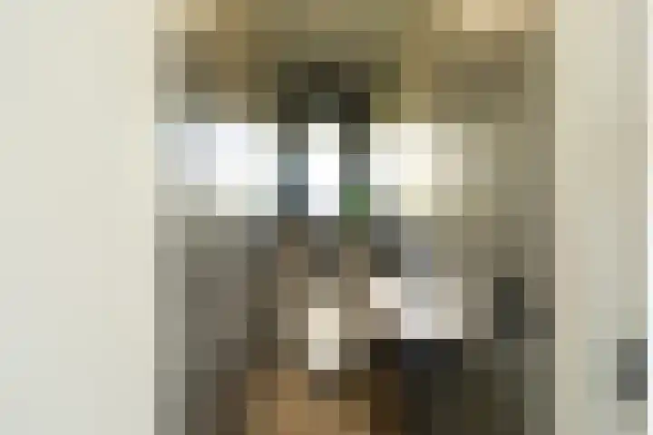 Schutteheide 1 501 Heel thumbnail 8