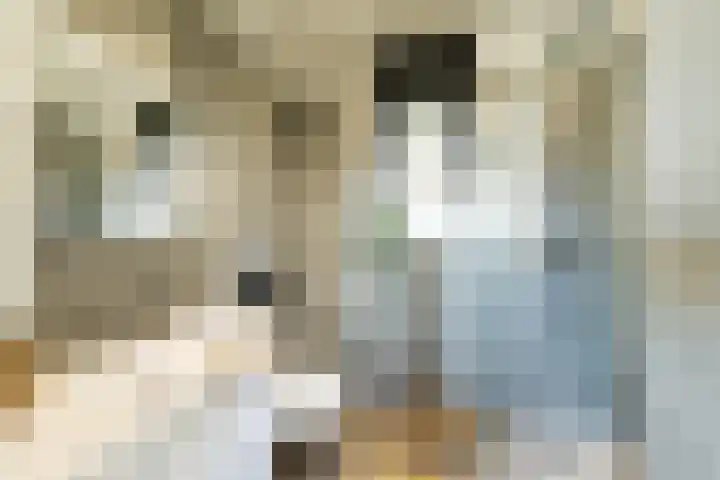 Schutteheide 1 501 Heel thumbnail 9