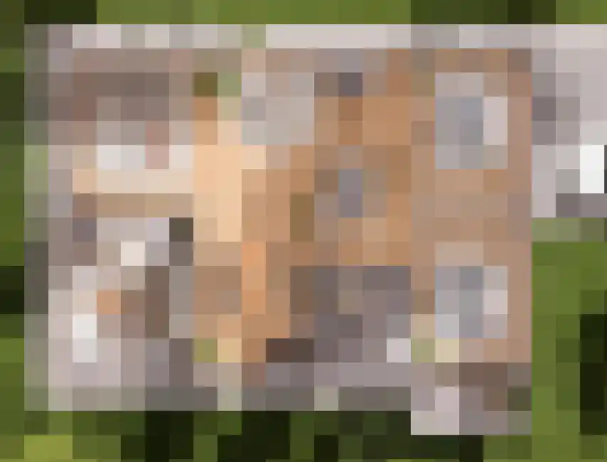 Schutteheide 1 517 Heel thumbnail 10