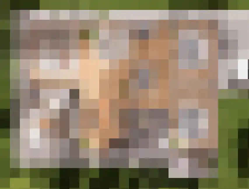 Schutteheide 1 517 Heel thumbnail 8