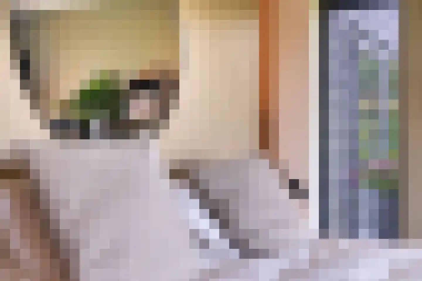 Schutteheiweg 10 Klimmen thumbnail 21