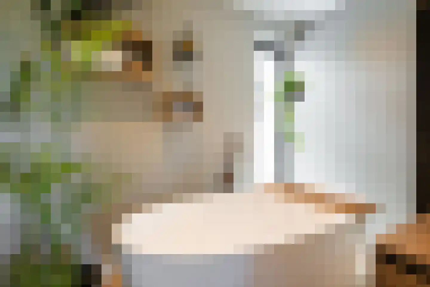 Schutteheiweg 10 Klimmen thumbnail 24