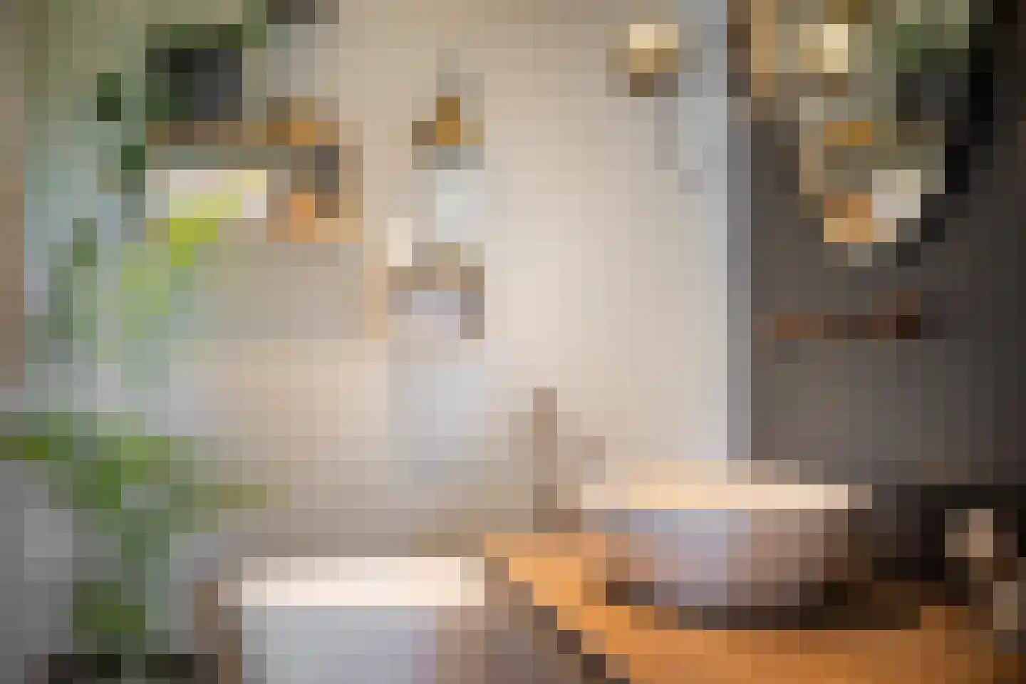 Schutteheiweg 10 Klimmen thumbnail 25