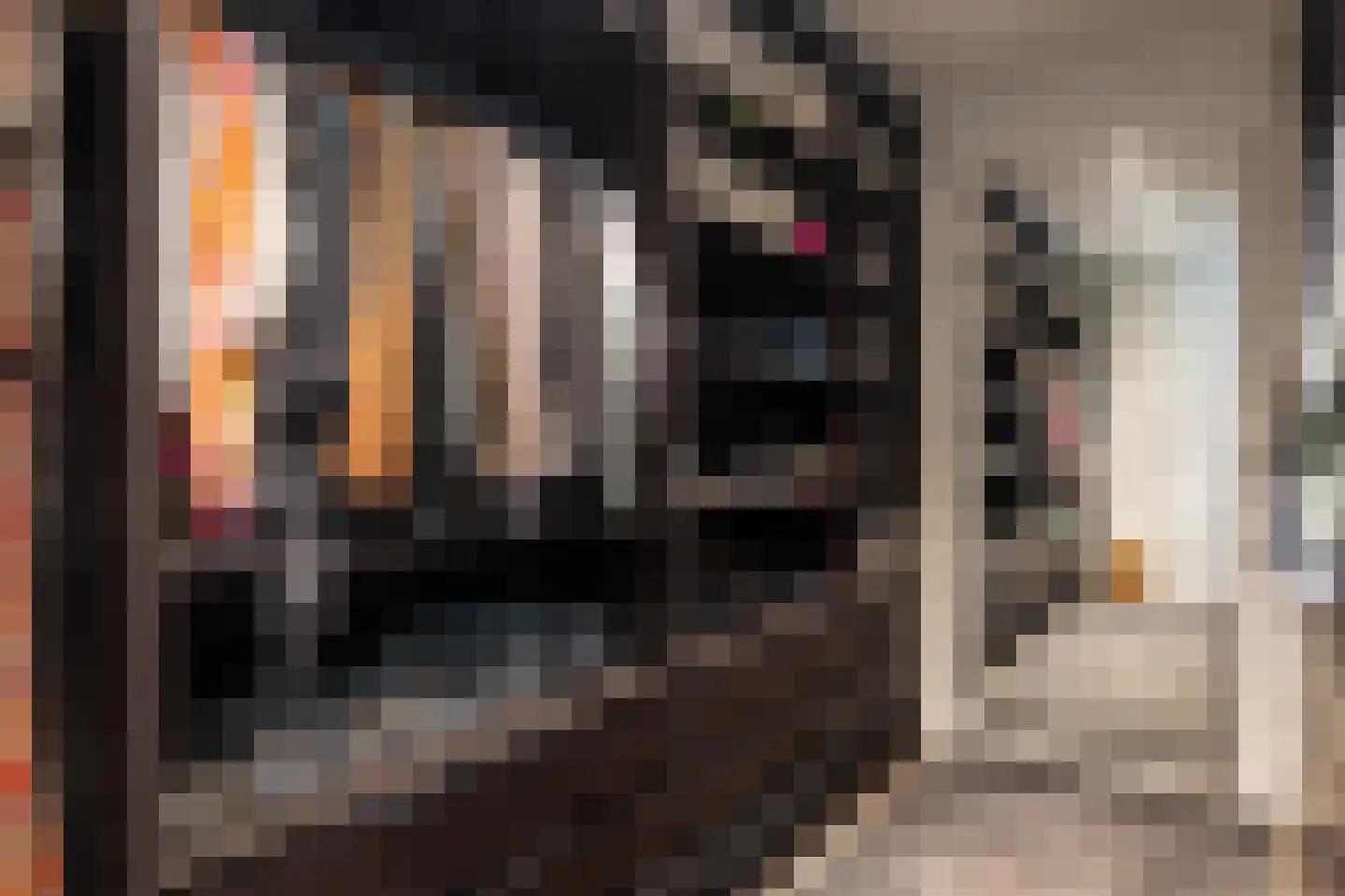 Schutteheiweg 10 Klimmen thumbnail 26