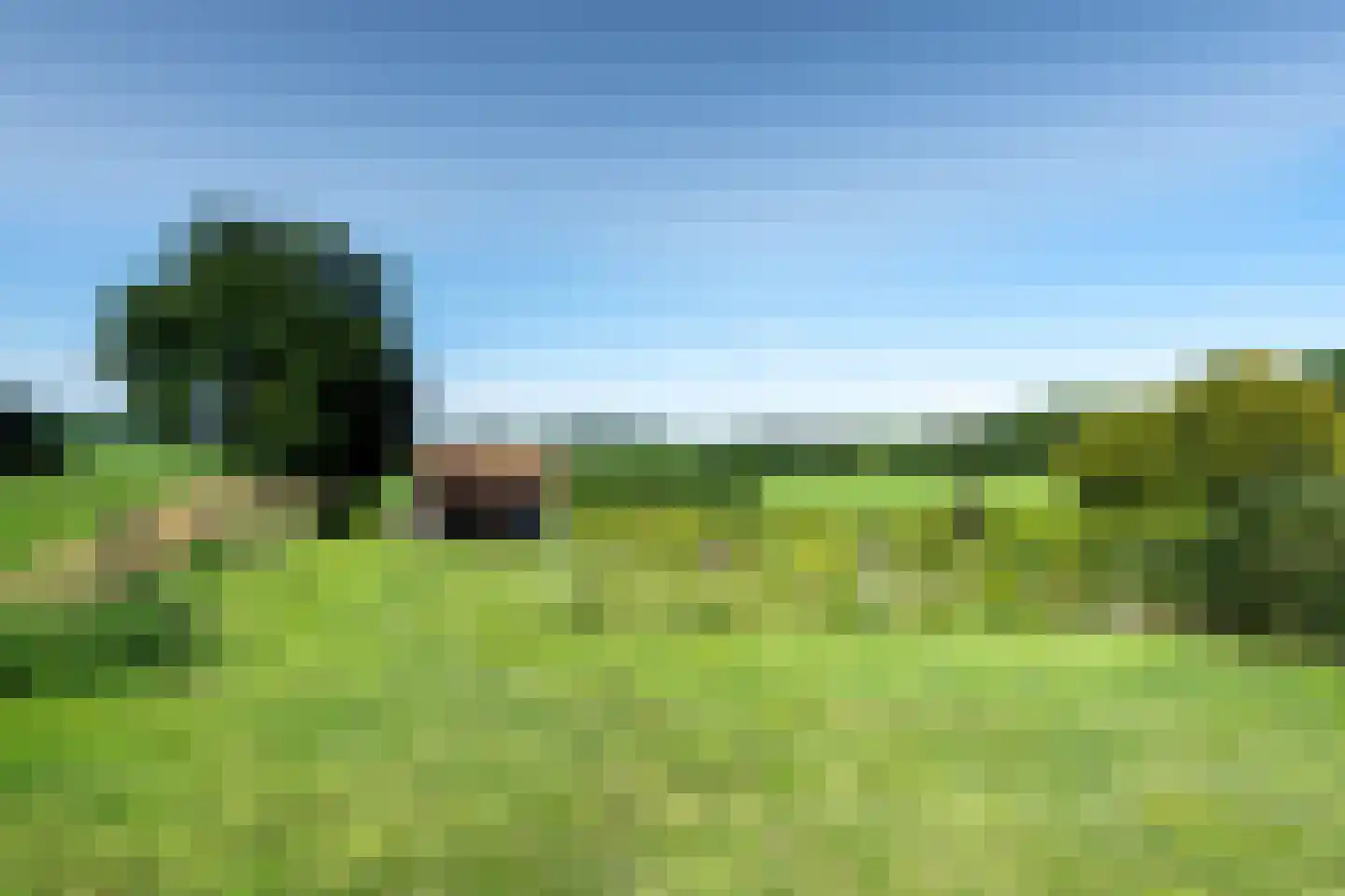 Schutteheiweg 10 Klimmen thumbnail 38