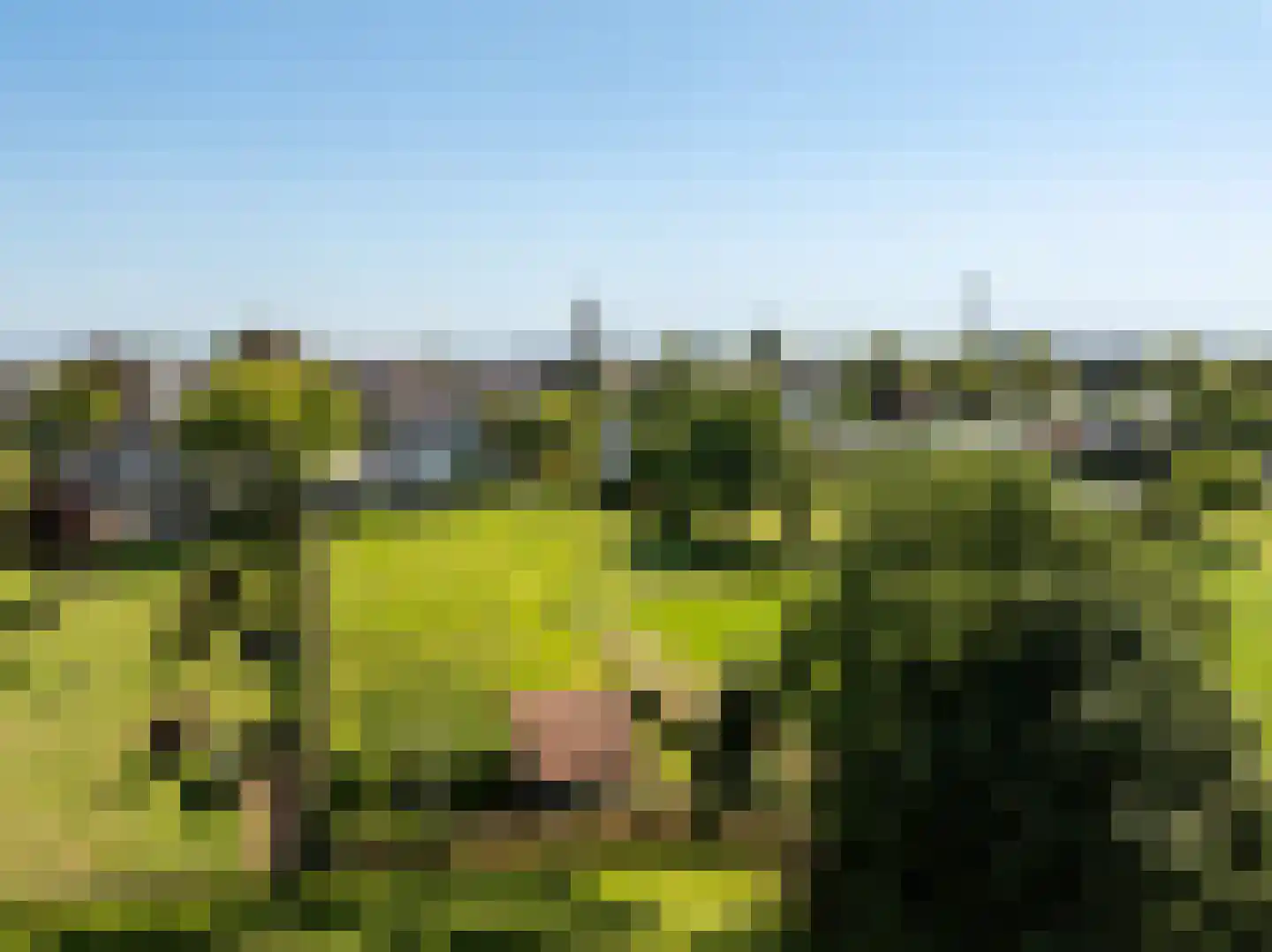 Schutteheiweg 10 Klimmen thumbnail 62