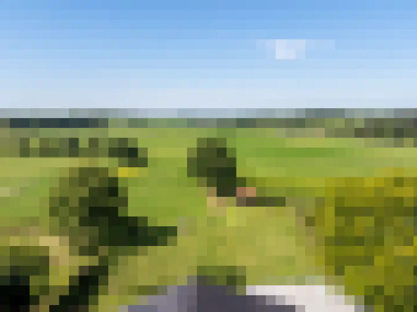 Schutteheiweg 10 Klimmen thumbnail 66