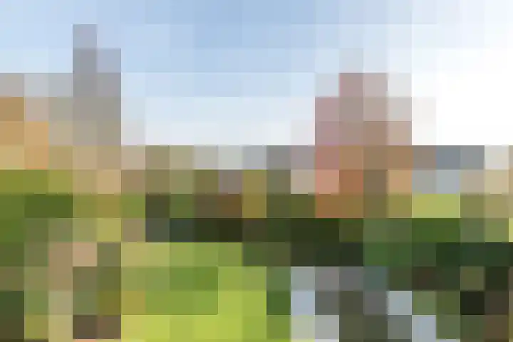 Schutteheiweg 43 Klimmen thumbnail 25
