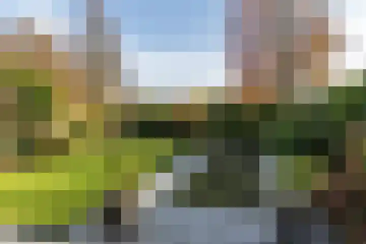 Schutteheiweg 43 Klimmen thumbnail 37