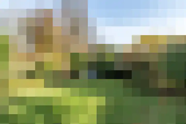 Schutteheiweg 43 Klimmen thumbnail 40