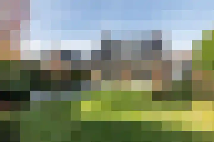 Schutteheiweg 43 Klimmen thumbnail 42