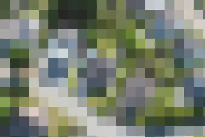 Schutteheiweg 43 Klimmen thumbnail 46