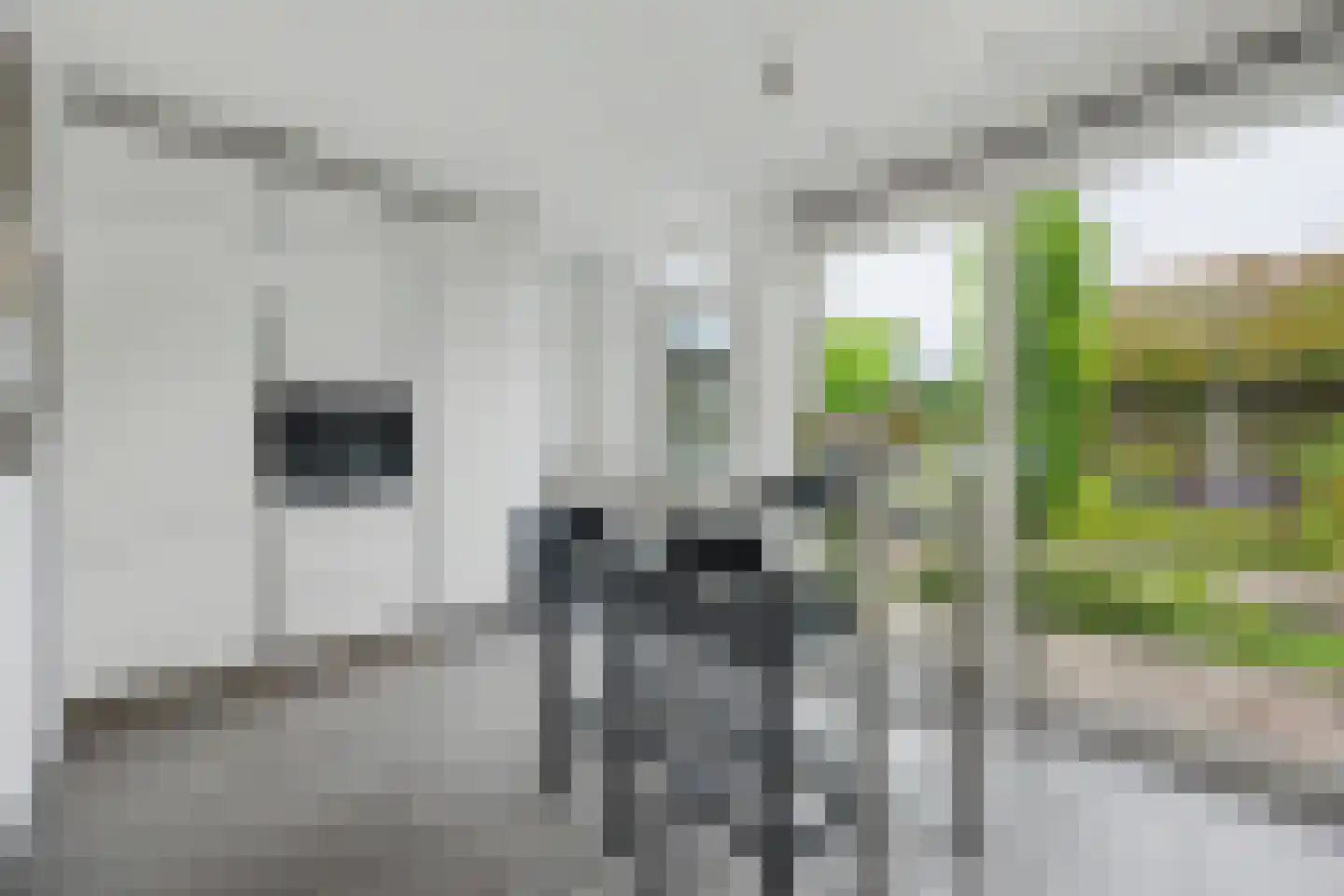 Schuttekamp 27 Enschede thumbnail 9