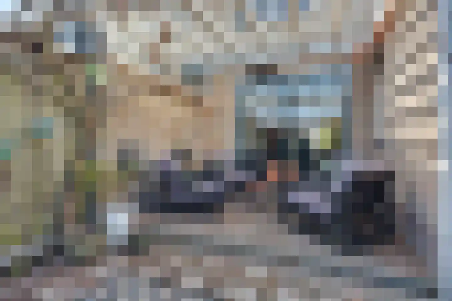 Schuttekamp 29 Enschede thumbnail 32