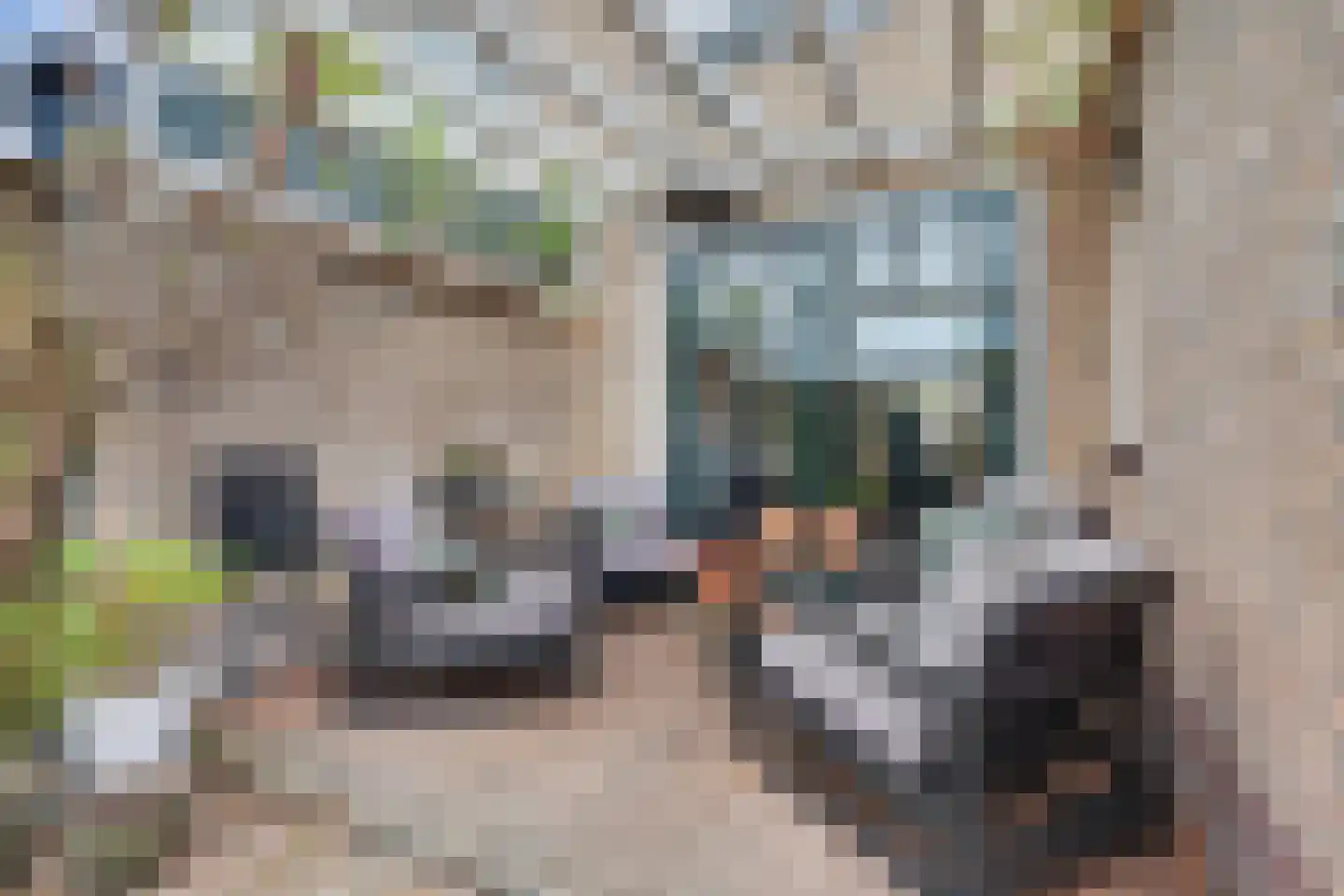 Schuttekamp 29 Enschede thumbnail 33