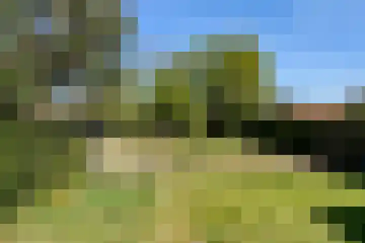 Schuttekampstraat 3 Belfeld thumbnail 23