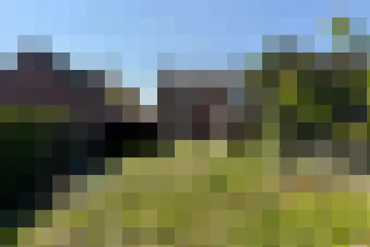 Schuttekampstraat 3 Belfeld thumbnail 25