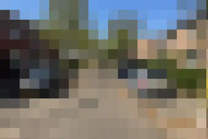 Schuttekampstraat 3 Belfeld thumbnail 27