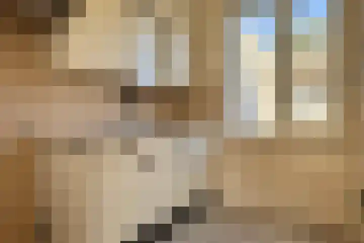 Schuttekampstraat 3 Belfeld thumbnail 4