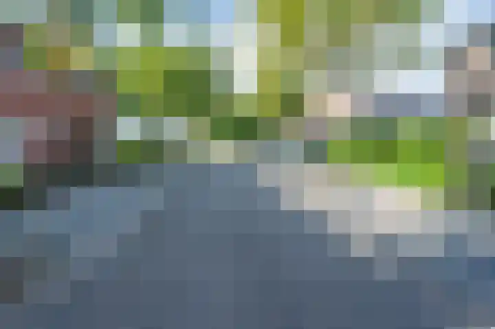 Schuttekampstraat 6 Belfeld thumbnail 34