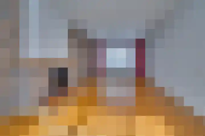 Schuttekampstraat 6 Belfeld thumbnail 4