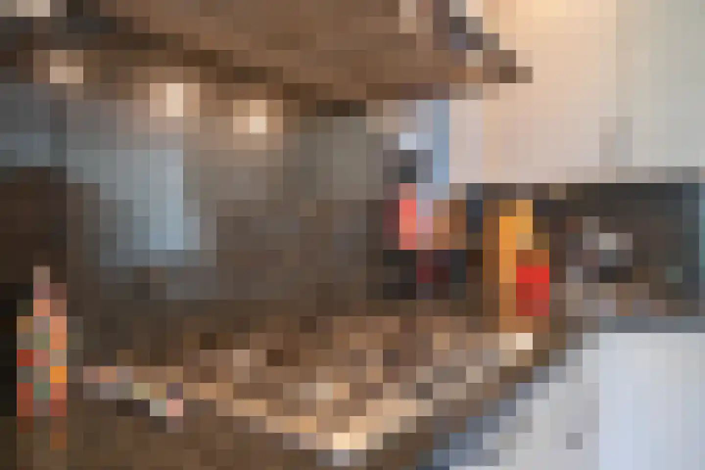 Schuttekleef 11 Stein thumbnail 10
