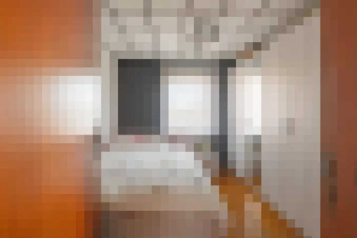 Schuttekleef 11 Stein thumbnail 16