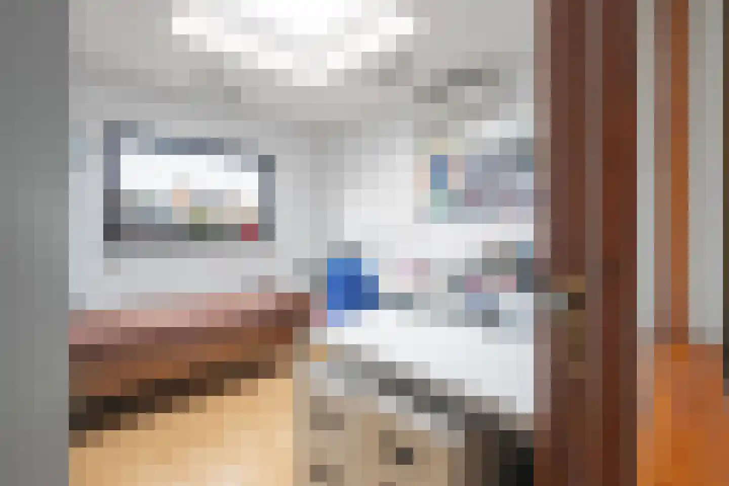 Schuttekleef 16 Stein thumbnail 10