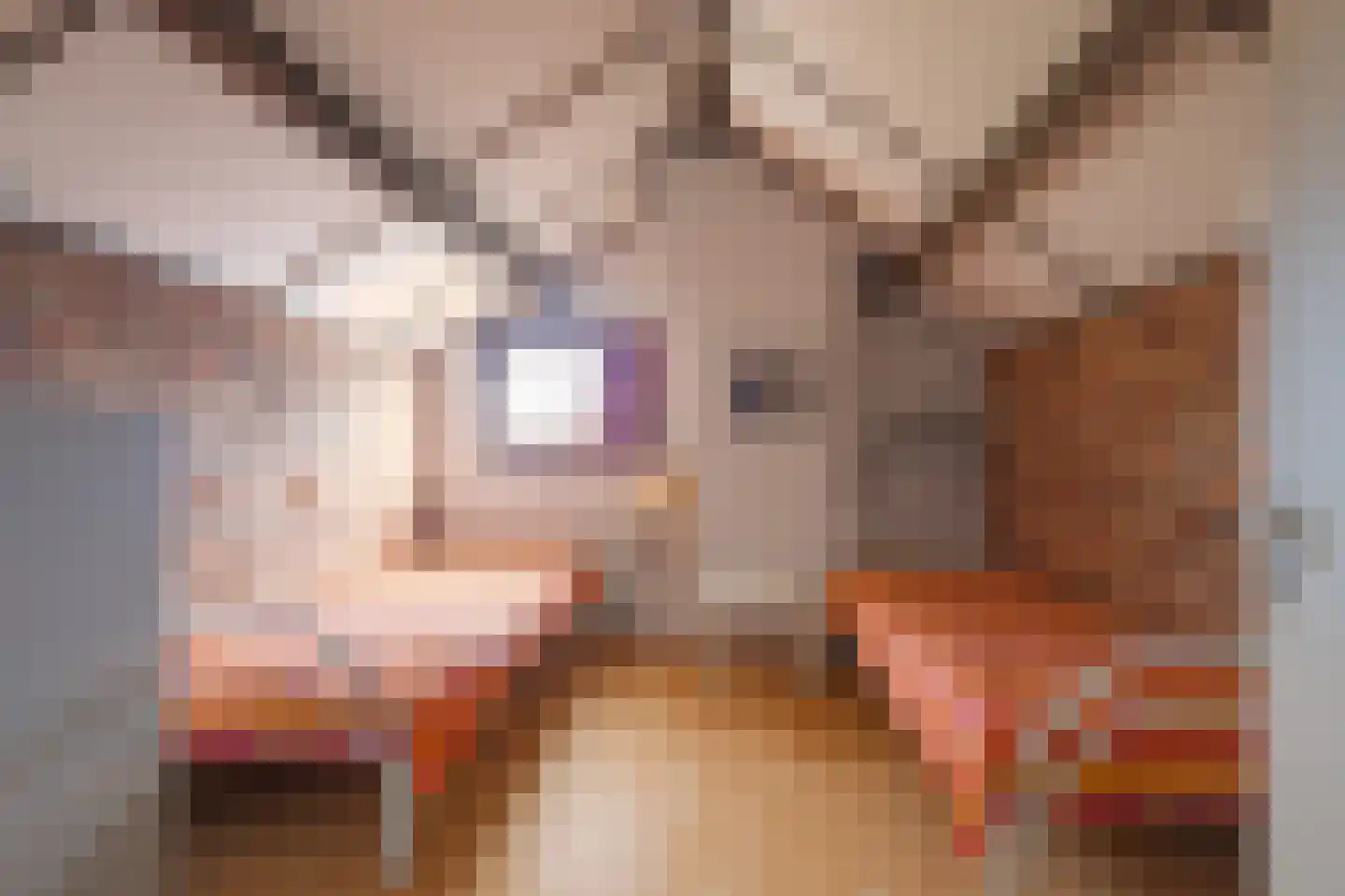 Schuttekleef 16 Stein thumbnail 17