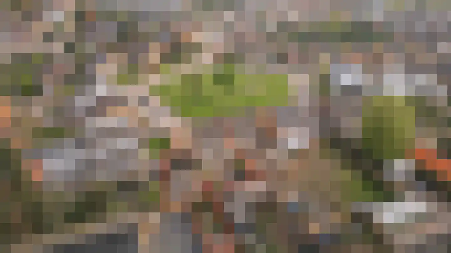 Schuttekleef 16 Stein thumbnail 19