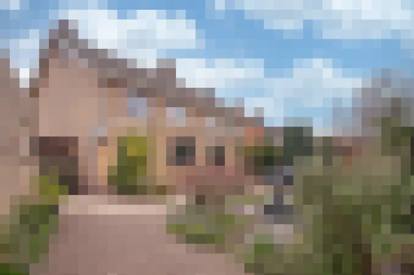 Schuttekleef 16 Stein thumbnail 20